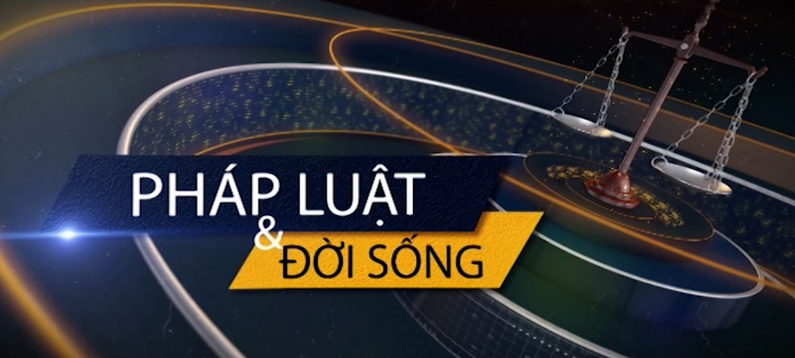 Pháp luật và đời sống (20-6-2024)